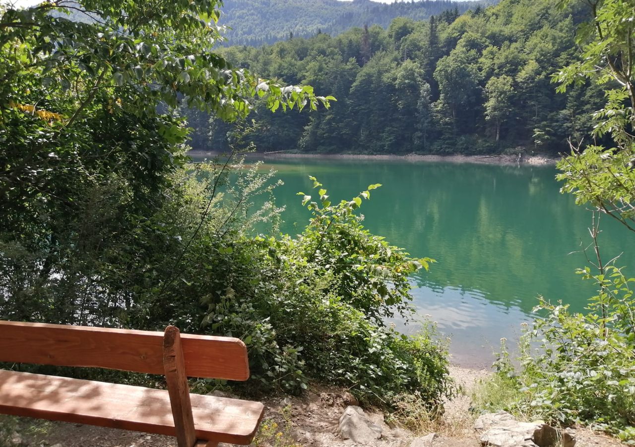 Park Narodowy Biogradska GÃ³ra w CzarnogÃ³rze - BaÅ‚kany na Talerzu